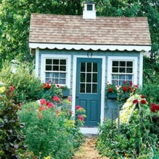 blue garden shed