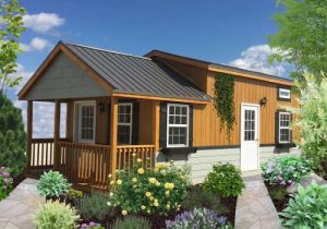 tiny home and shed homes