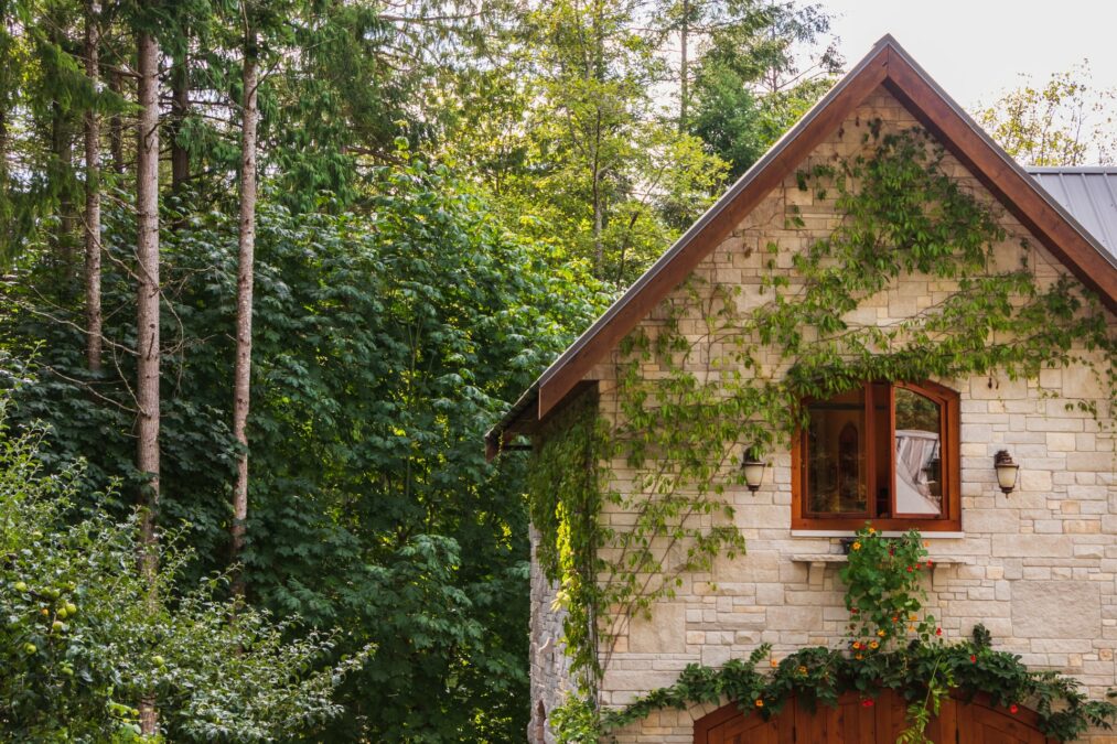 What’s the Hype Around Backyard Guest Houses?