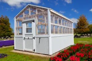 Classic-Greenhouse-backyard-w-flowers-ai-300x200