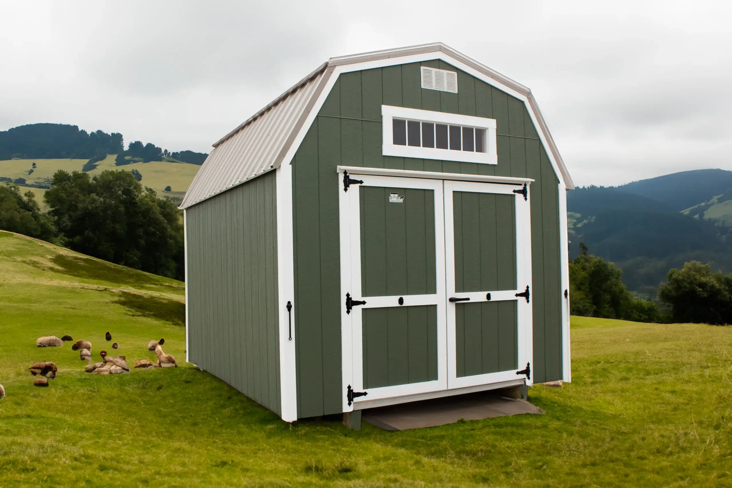 Sheds for Sale Near Me